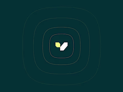Vera — Brand, Pitch Deck, Web Design & Webflow Development