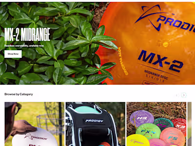 Custom Sections for Prodigy Disc using Instant
