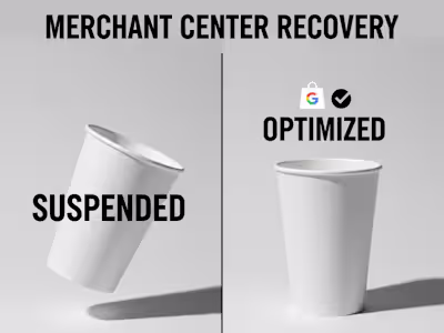 Shopify Sales with Google Shopping & PMax