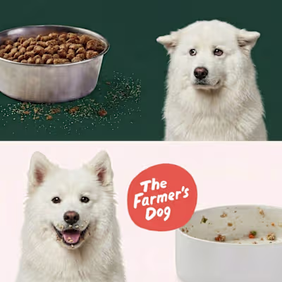 The Farmer's Dog - Meta Ad Redesign / Concept Work