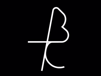 Rebranding Social Media Agency- BT Collective Agency