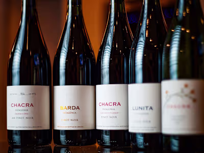 (@newvinevinoteca) • Content Producer for Instagram 