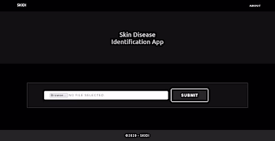 Skin Disease Identification using CNNs