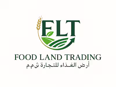Professional FLT Brand Logo Design