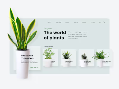 Website UI Animation