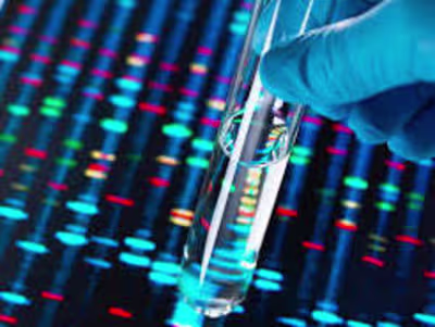 High Performance Computing: Market Insights & Applications