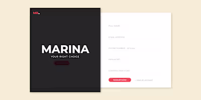 Login And SignUp Form