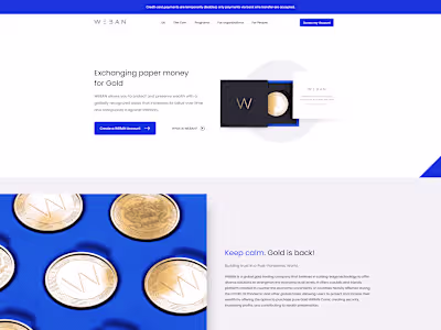 Customized Themes and Plugins for WordPress