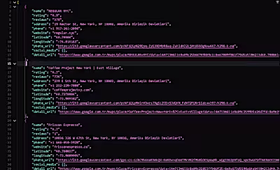 Google Maps Business Data Scraper