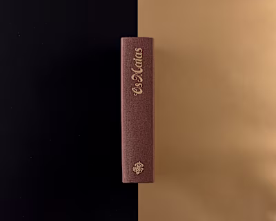 Os Maias - dst group