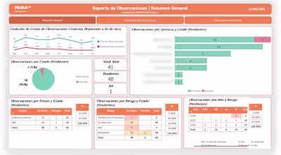 Designed and developed an executive