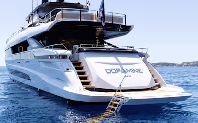 Designing the Brand Identity for Dopamine Charter