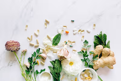 Wellness Supplement Market Presentation