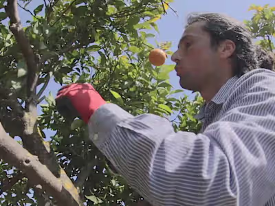 Pruning Tutorial - YouTube