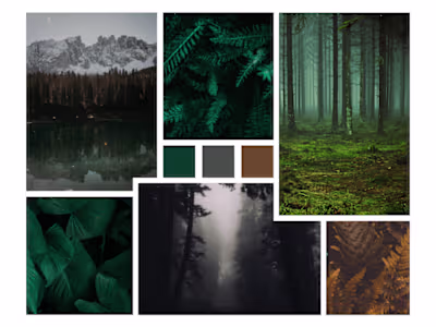 Mood Board