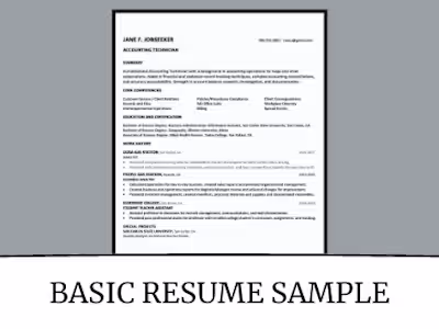 Custom Resume Design  Basic