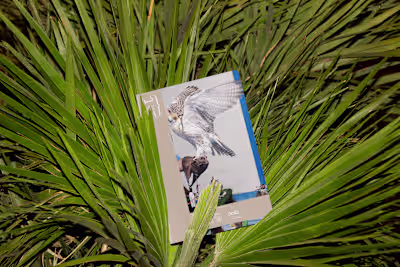 Abu Dhabi Art Fair - Key Visual 2022