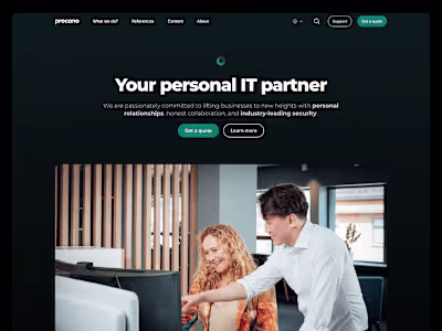 Procano: Complete 30+ page company website