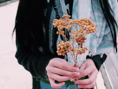 An Introvert's Guide To A Social Life