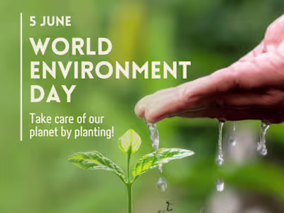 Dynamic Social Media Design Portfolio