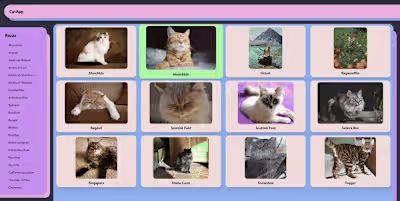 CatApp