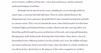 DEEPSTARIA // EXCERPT