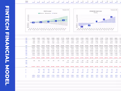 Custom-Made Fintech Financial Model