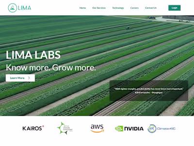 Website design Lima​