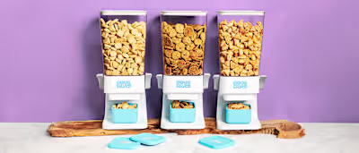 SnacksSolved - Brand Identity