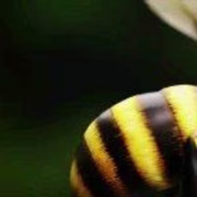 3D AVATAR DRINKS PROMO ADS