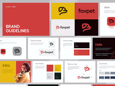 Professional Brand Book & Identity Design