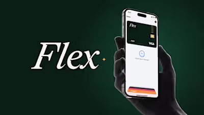 Flex Finance | Moodboard | motion graphics