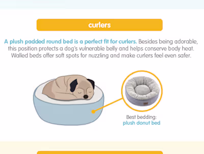 Tall Tails Infographic