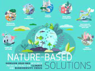 Article: Trend of Nature-Based Solutions (NBS)