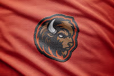Buffalo Mascot Logo 