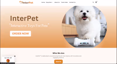 Shopify Store Design