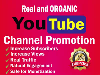 I will do organic youtube promotion for channel monetization