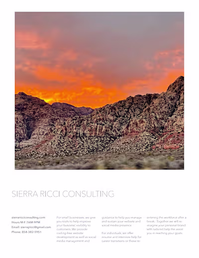 Marketing Flyers/Content Sample