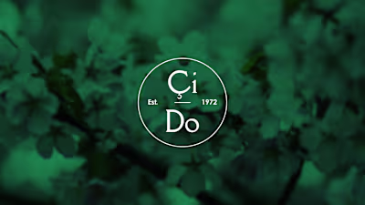 Modern Logo Design