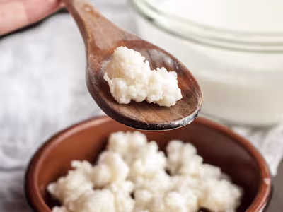 Buy Organic Milk, Coconut, Water Kefir Grains & Kombucha Online