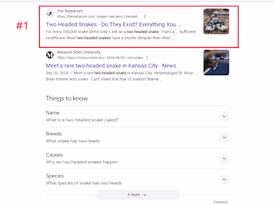 200% growth in organic traffic in 5 months