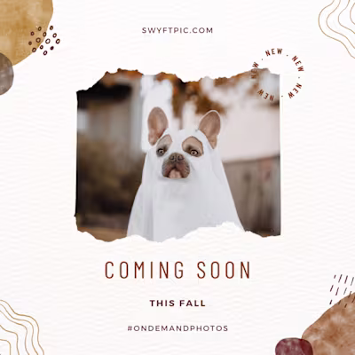 Content Creation-Photography Booking App