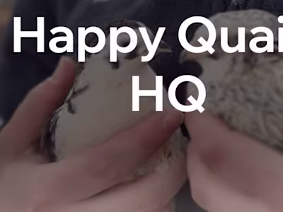 Home | Happy Quails HQ