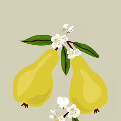 "La Poire" Illustration and Pattern