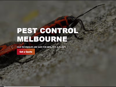 Pest Control Melbourne - Melbourne’s Best Pest Control Services