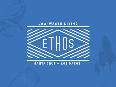 Shopify Custom Theme Design