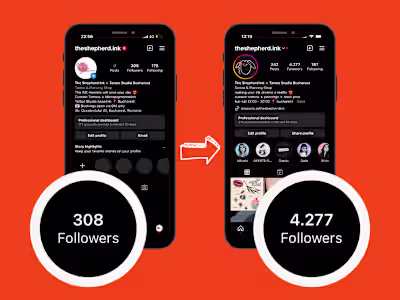 Instagram Manager, Strategist & Creator - The Shepherd Ink