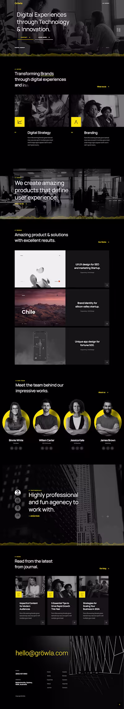 Wordpress Digital Agency Website