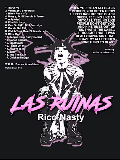 Album Promotion Flyer