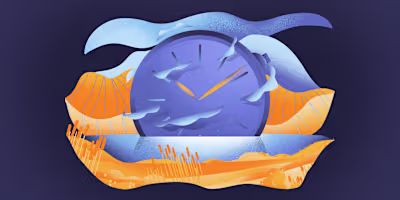Beebole web illustration package